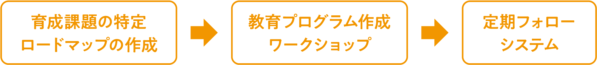 育成課題の特定・ロードマップの作成→教育プログラム作成・ワークショップ→定期フォローシステム